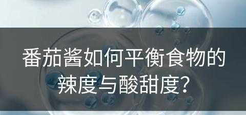 番茄酱如何平衡食物的辣度与酸甜度？